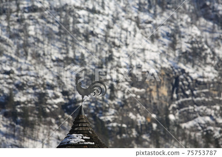 aerosocpe rooster weathervane in hallstatt, austria 75753787