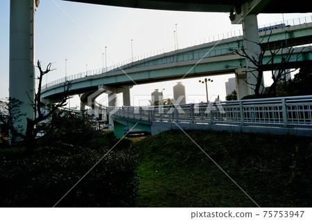 Scenery of Tatsumi Junction Night view 75753947