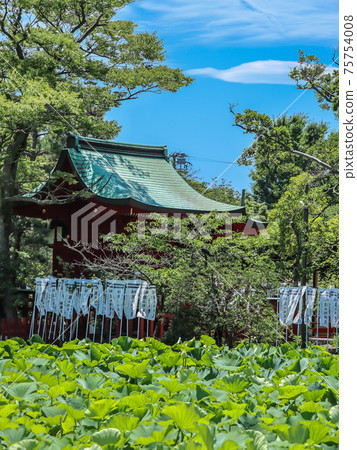 Green Genpei Pond 75754008