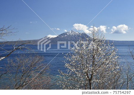 Lake Shikotsu in early spring 75754297