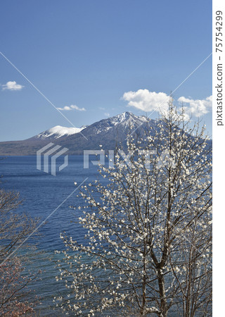 Lake Shikotsu in early spring 75754299