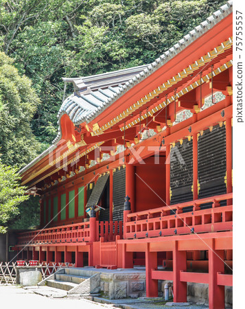 鶴岡八幡宮 鶴岡八幡宮 75755557