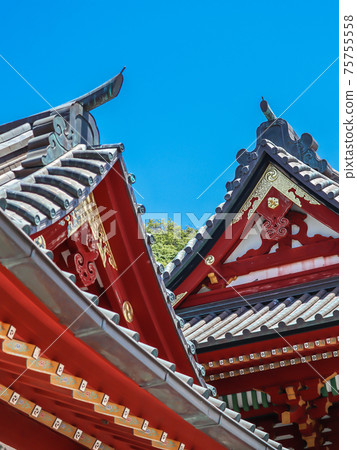 鶴岡八幡宮 鶴岡八幡宮 75755558
