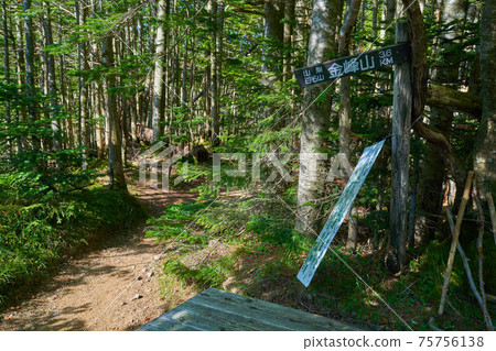 位於山梨禦宅町的金浦山和朝日山的山路入口 75756138