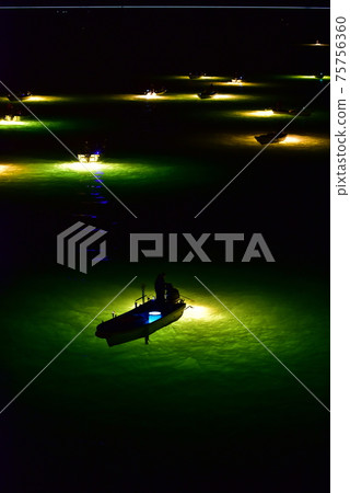 德島縣玻璃鰻捕魚 75756360