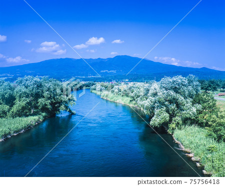 福井縣鹽原町Nippashi河和萬代山 75756418