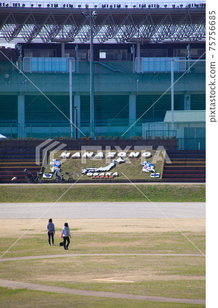 Hanazono Multipurpose Lawn Square Hanazono Multipurpose Lawn Square 75756685