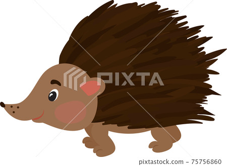 Vector illustration of smiling hedgehog. Isolated on white. Cute cartoon character Vector illustration of smiling hedgehog. Isolated on white. Cute cartoon character 75756860