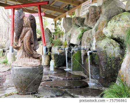 Tateiwa water source: Abundant water flowing from the water fetching place Tateiwa water source: Abundant water flowing from the water fetching place 75756861