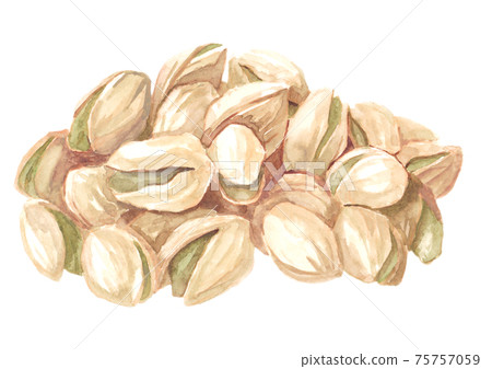 Heaping pistachio watercolor material 75757059