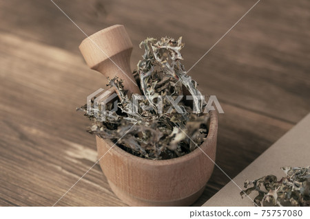 Cetraria Icelandic moss in a mortar, medicinal plant, herbal alternative therapy homeopathy, prescription drug for immunity, anti-inflammatory cough and pneumonia remedy Cetraria Icelandic moss in a mortar, medicinal plant, herbal alternative therapy homeopathy, prescription drug for immunity, anti-inflammatory cough and pneumonia remedy 75757080