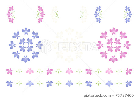 Lobelia 75757400
