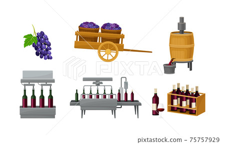 Grape Wine Production with Alcoholic Fermentation and Pouring in Bottles Process Vector Set 75757929