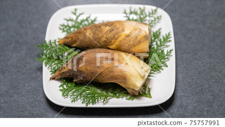 Freshly picked bamboo shoots with mud Freshly picked bamboo shoots with mud 75757991