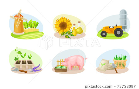 Farming Composition with Agricultural Crops and Farming Inventory Vector Set 75758097
