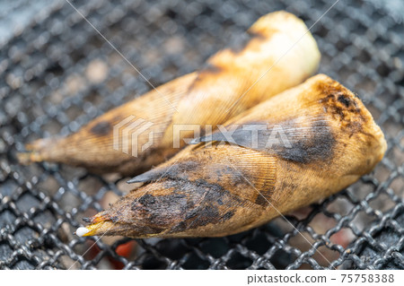 Charcoal-grilled freshly picked bamboo shoots Charcoal-grilled freshly picked bamboo shoots 75758388