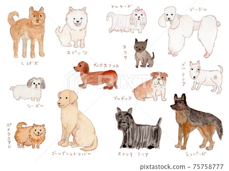 Watercolor illustrations of various breeds 75758777