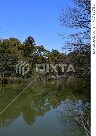 早春的鹿屋龍口 75758789