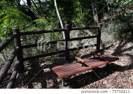 Kagiya Ryokuchi in early spring 75758811