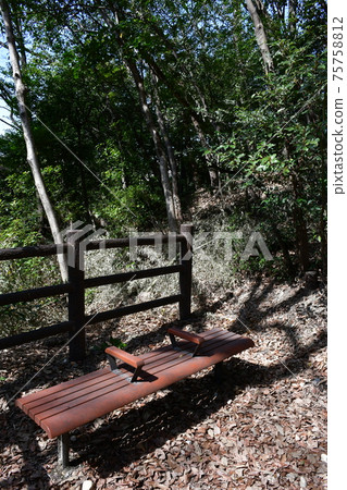 Kagiya Ryokuchi in early spring Kagiya Ryokuchi in early spring 75758812