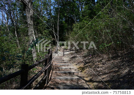 Kagiya Ryokuchi in early spring 75758813