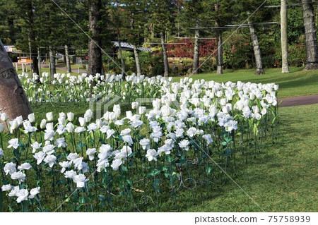 Okinawa Southeast Botanical Garden Water Paradise White artificial flowers for lighting up 75758939