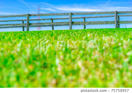 [Fresh green image] Aichi Ranch's trimmed lawn [Aichi Prefecture] 75758957
