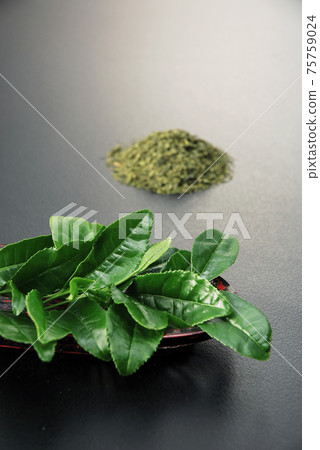 Tea leaves and processed tea leaves 75759024