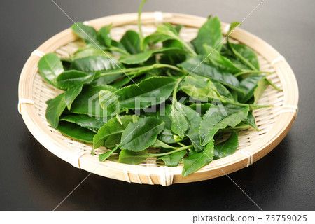 茶葉在漏勺上 75759025
