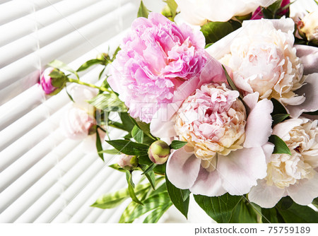 Beautiful pink peony bouquet in a vase. 75759189