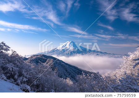 《山梨縣》富士山和樹上的霧rim ・日本的冬季風景 《山梨縣》富士山和樹上的霧rim ・日本的冬季風景 75759559