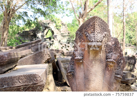 Statues of multi-headed serpents or nagas and ruin of  Koh Ker complex, Cambodia 75759837