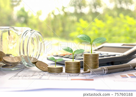 Plant small green trees on coins and calculators, financial accounting concepts and save money. 75760188