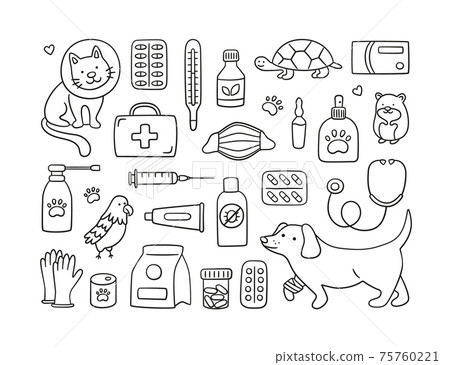 Veterinary set with pets, medicines and food. A cat in a collar and a dog with a bandaged paw. Veterinary set with pets, medicines and food. A cat in a collar and a dog with a bandaged paw. 75760221
