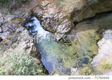 Spring Valley Spring Valley 75760940