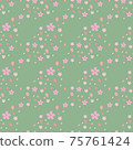 Cherry Blossoms	 75761424