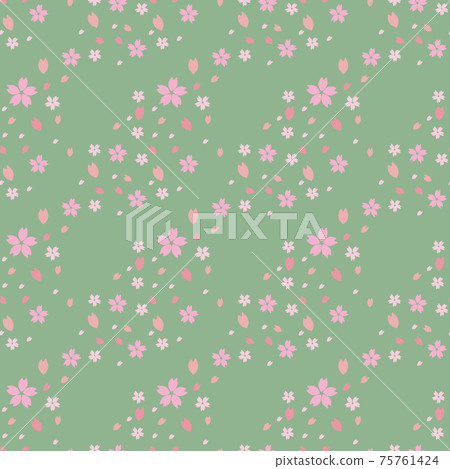 Cherry Blossoms Cherry Blossoms 75761424