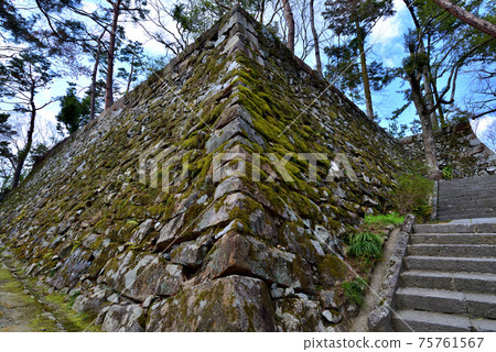 與曙光光秀有關的丹波龜山城的石垣城樓遺址 75761567