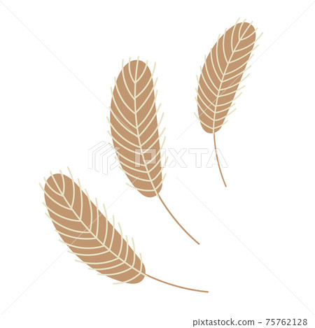Birds feather. Chicken or goose feather Birds feather. Chicken or goose feather 75762128