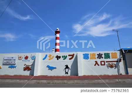 Noshap冷流水族館(北海道稚內) Noshap冷流水族館(北海道稚內) 75762365