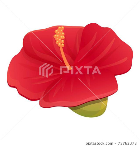 Carmine hibiscus icon, cartoon style 75762378