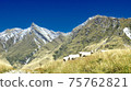 New Zealand original landscape and sheep 75762821