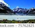 Superb view of New Zealand (Mount Cook) 75762825