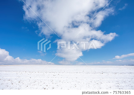 Simple winter background with blue sky Simple winter background with blue sky 75763365