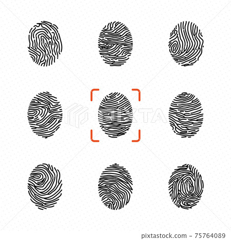 Set of individual fingerprints for personal identification. illustrations 75764089