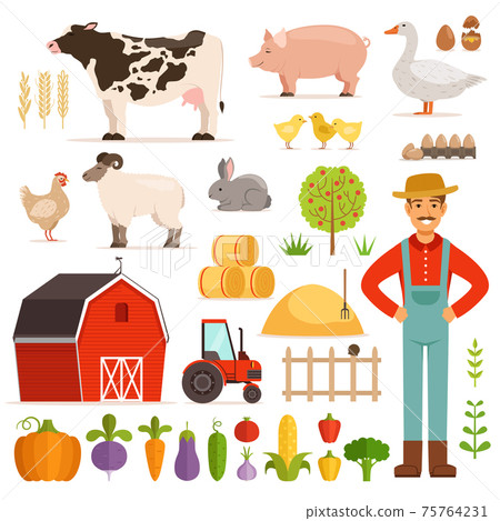 Different farm elements. Vegetables, transport and domestic animals. illustrations set Different farm elements. Vegetables, transport and domestic animals. illustrations set 75764231