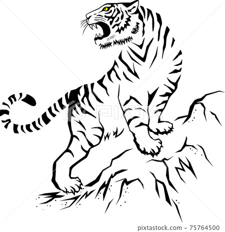 一隻老虎在洛磯山脈咆哮 75764500