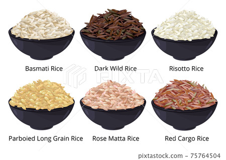 Different type of rice. Long grain, brown, white and other. illustrations in cartoon style Different type of rice. Long grain, brown, white and other. illustrations in cartoon style 75764504