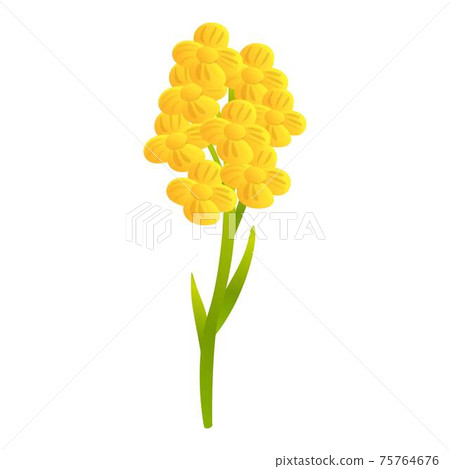 Canola field flower icon, cartoon style Canola field flower icon, cartoon style 75764676