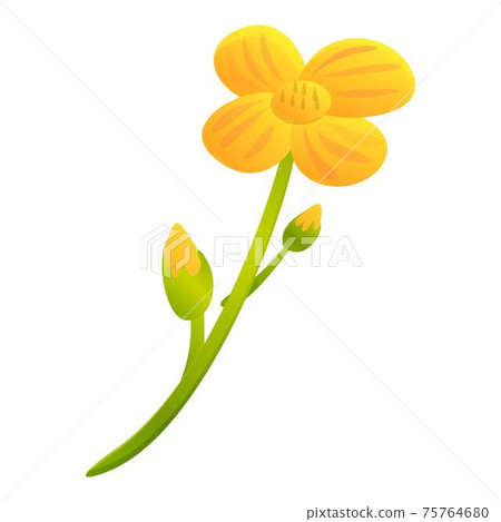 Canola yellow flower icon, cartoon style 75764680